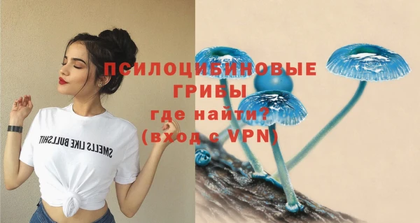 МДПВ Бугульма