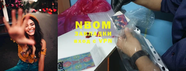 ПСИЛОЦИБИНОВЫЕ ГРИБЫ Бородино