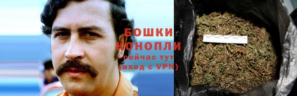 ПСИЛОЦИБИНОВЫЕ ГРИБЫ Бородино