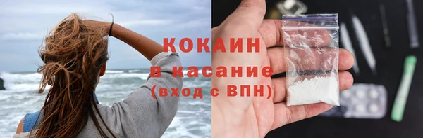 ПСИЛОЦИБИНОВЫЕ ГРИБЫ Бородино