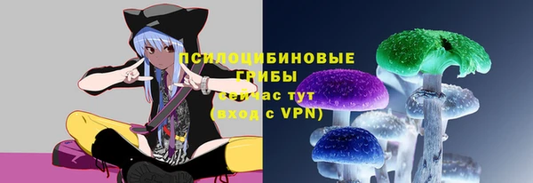 ПСИЛОЦИБИНОВЫЕ ГРИБЫ Бородино