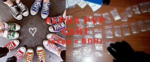 ПСИЛОЦИБИНОВЫЕ ГРИБЫ Бородино