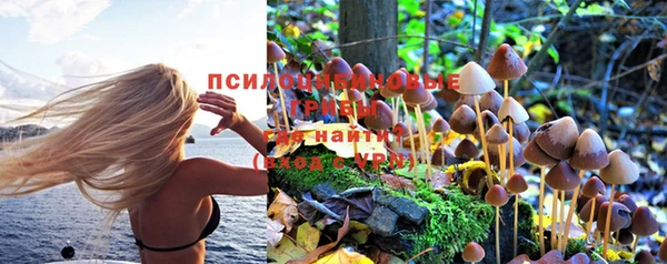 ПСИЛОЦИБИНОВЫЕ ГРИБЫ Бородино