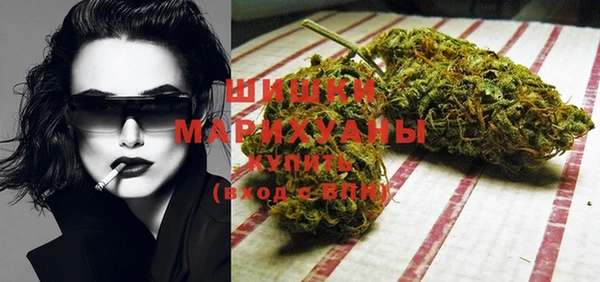 ПСИЛОЦИБИНОВЫЕ ГРИБЫ Бородино